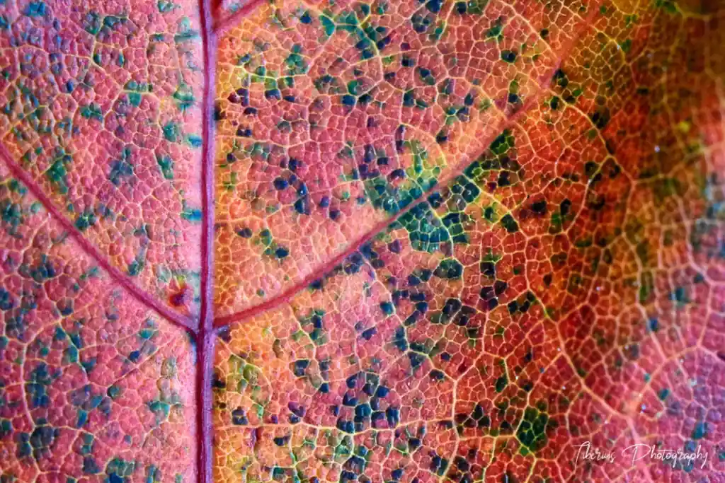 20151011_2040